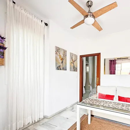 Apartamento Atico Con Terraza Privada